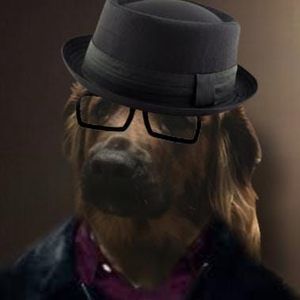 Meet your Posher, Cameron